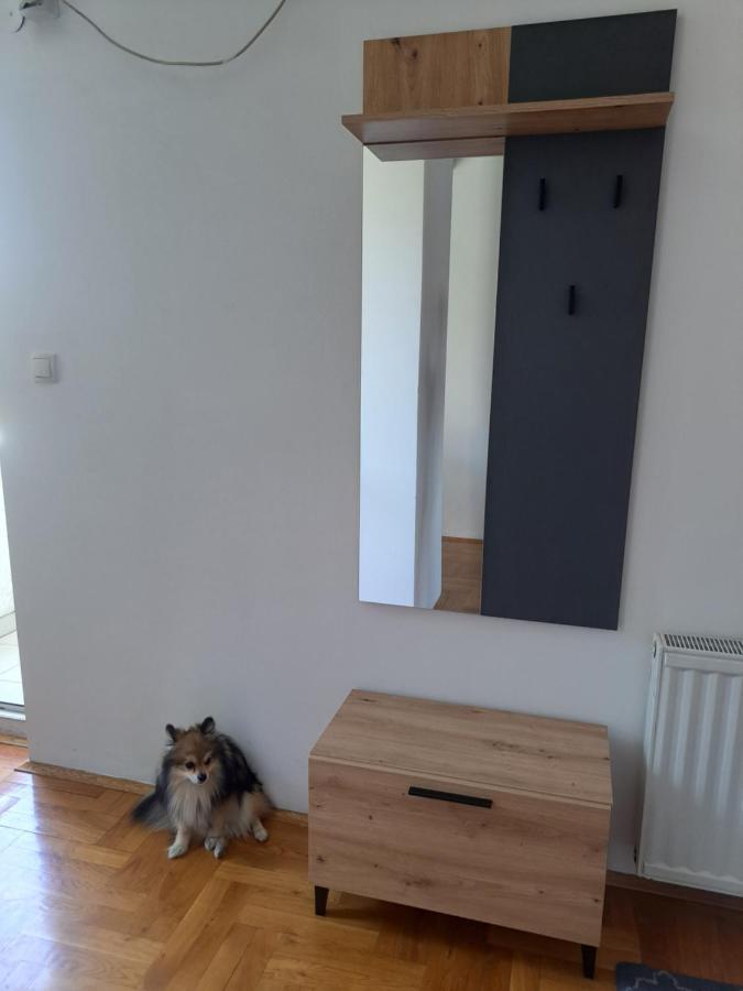 Apartman Zvezdica -Smederevo, Netflix Exterior photo